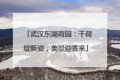 武汉东湖荷园：千荷绽新姿，美景迎客来