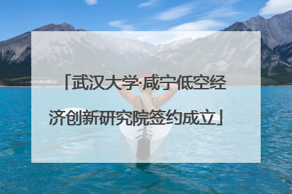 武汉大学·咸宁低空经济创新研究院签约成立