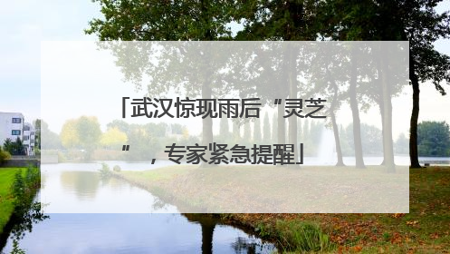 武汉惊现雨后“灵芝”，专家紧急提醒