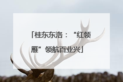桂东东洛：“红领雁”领航百业兴