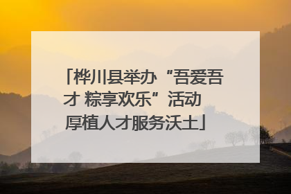 桦川县举办“吾爱吾才 粽享欢乐”活动 厚植人才服务沃土