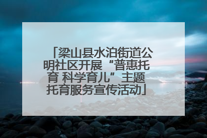 梁山县水泊街道公明社区开展“普惠托育 科学育儿”主题托育服务宣传活动