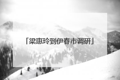 梁惠玲到伊春市调研