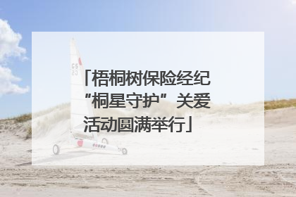 梧桐树保险经纪“桐星守护”关爱活动圆满举行
