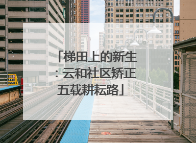 梯田上的新生：云和社区矫正五载耕耘路