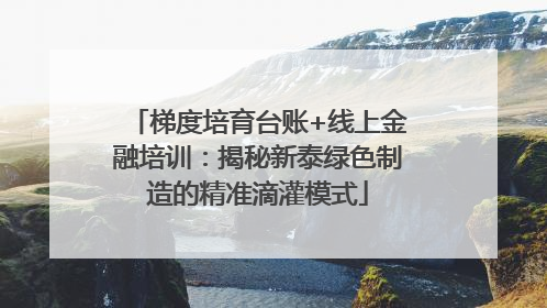 梯度培育台账+线上金融培训：揭秘新泰绿色制造的精准滴灌模式