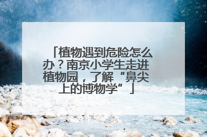 植物遇到危险怎么办？南京小学生走进植物园，了解“鼻尖上的博物学”