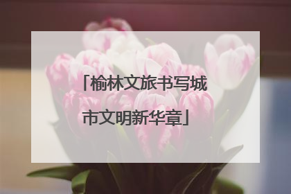榆林文旅书写城市文明新华章