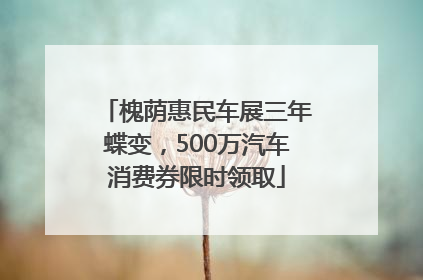槐荫惠民车展三年蝶变，500万汽车消费券限时领取