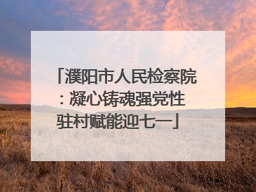 濮阳市人民检察院：凝心铸魂强党性 驻村赋能迎七一
