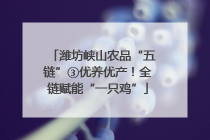 潍坊峡山农品“五链”③优养优产！全链赋能“一只鸡”