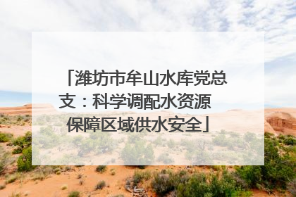 潍坊市牟山水库党总支：科学调配水资源 保障区域供水安全