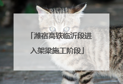 潍宿高铁临沂段进入架梁施工阶段