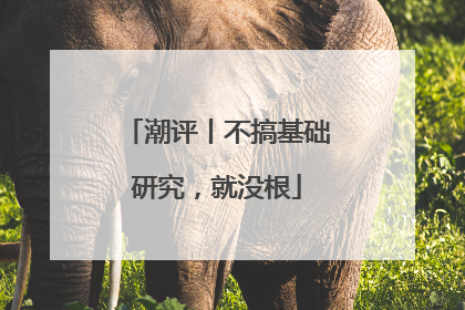 潮评丨不搞基础研究，就没根