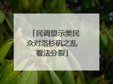 民调显示美民众对洛杉矶之乱看法分裂