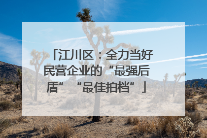 江川区：全力当好民营企业的“最强后盾”“最佳拍档”