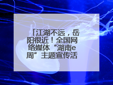 江湖不远，岳阳很近！全国网络媒体“湖南e周”主题宣传活动在岳阳启动