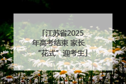 江苏省2025年高考结束 家长“花式”迎考生