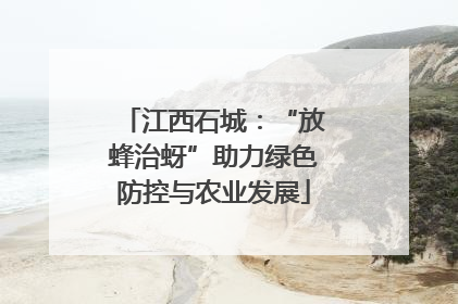 江西石城：“放蜂治蚜”助力绿色防控与农业发展