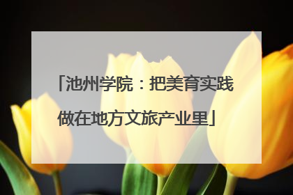 池州学院：把美育实践做在地方文旅产业里