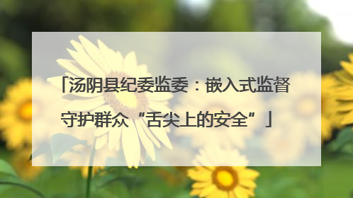 汤阴县纪委监委：嵌入式监督守护群众“舌尖上的安全”