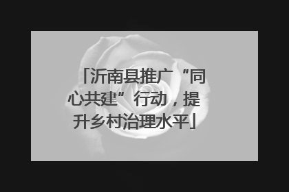 沂南县推广“同心共建”行动，提升乡村治理水平