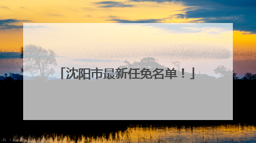 沈阳市最新任免名单！