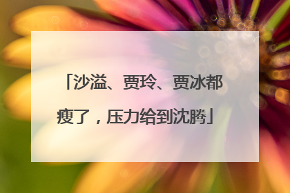 沙溢、贾玲、贾冰都瘦了，压力给到沈腾