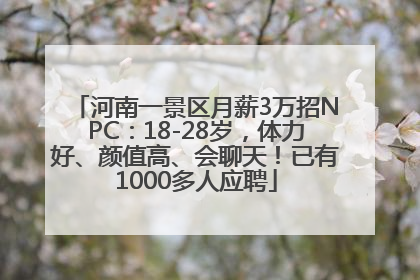 河南一景区月薪3万招NPC：18-28岁，体力好、颜值高、会聊天！已有1000多人应聘