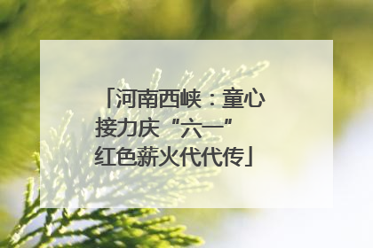 河南西峡：童心接力庆“六一” 红色薪火代代传