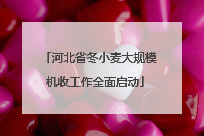 河北省冬小麦大规模机收工作全面启动