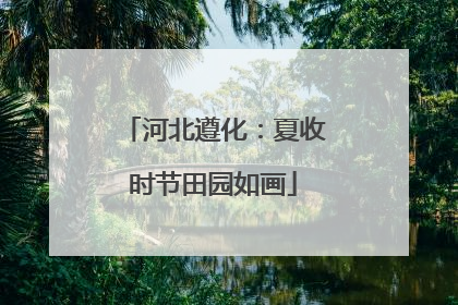 河北遵化：夏收时节田园如画