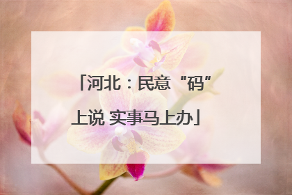 河北：民意“码”上说 实事马上办