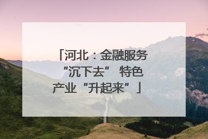 河北：金融服务“沉下去” 特色产业“升起来”