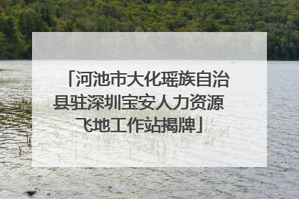 河池市大化瑶族自治县驻深圳宝安人力资源飞地工作站揭牌