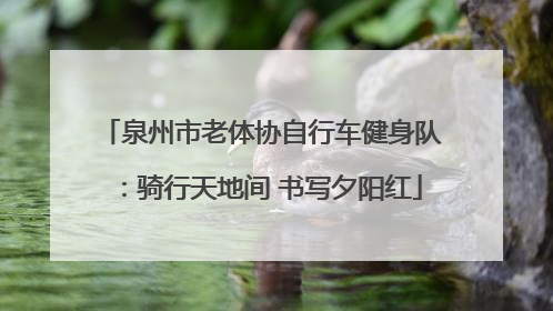 泉州市老体协自行车健身队：骑行天地间 书写夕阳红