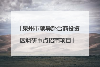 泉州市领导赴台商投资区调研重点招商项目