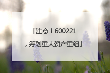 注意！600221，筹划重大资产重组