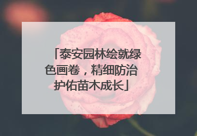 泰安园林绘就绿色画卷，精细防治护佑苗木成长