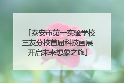 泰安市第一实验学校三友分校首届科技画展开启未来想象之旅