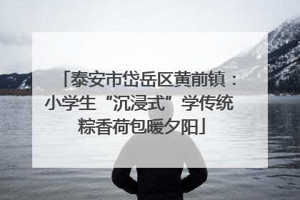泰安市岱岳区黄前镇：小学生“沉浸式”学传统 粽香荷包暖夕阳
