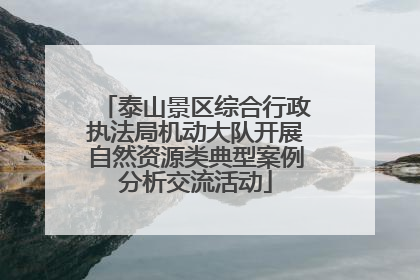 泰山景区综合行政执法局机动大队开展自然资源类典型案例分析交流活动