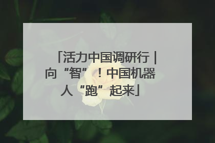 活力中国调研行｜向“智”！中国机器人“跑”起来