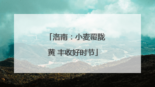 洛南：小麦覆陇黄 丰收好时节