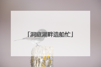 洞庭湖畔造船忙