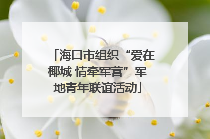 海口市组织“爱在椰城 情牵军营”军地青年联谊活动