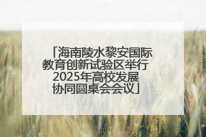 海南陵水黎安国际教育创新试验区举行2025年高校发展协同圆桌会会议