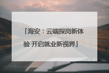 海安：云端探岗新体验 开启就业新视界
