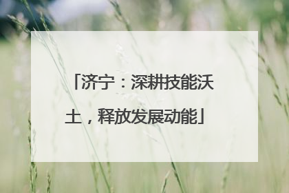 济宁：深耕技能沃土，释放发展动能