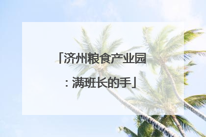 济州粮食产业园：满班长的手